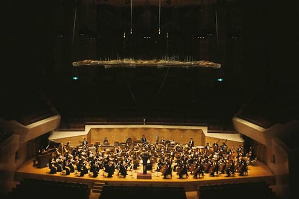 「No. 7 バーナード・ランズ」の写真