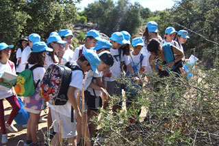 グローバル「水育」