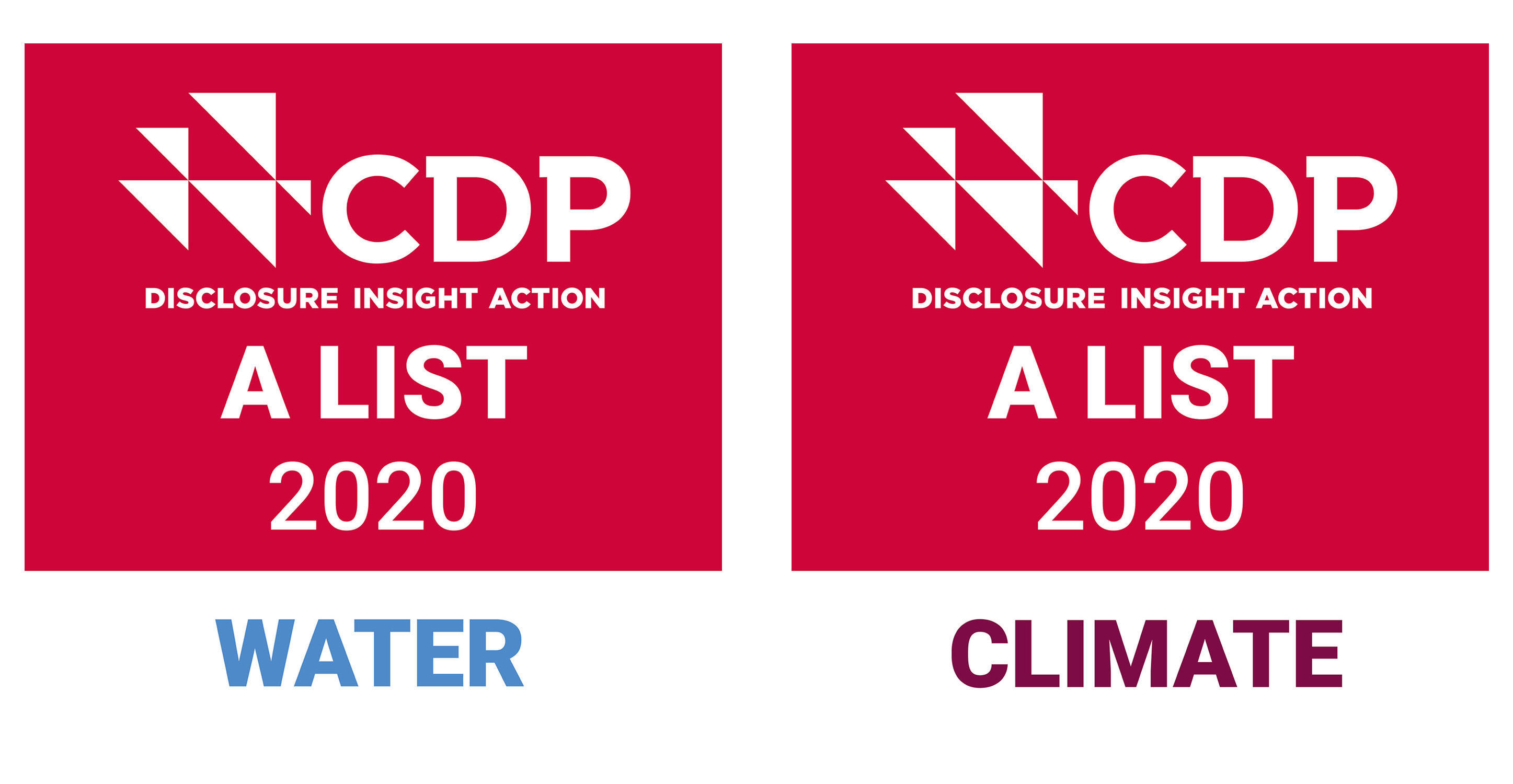 CDP2020_1.jpg