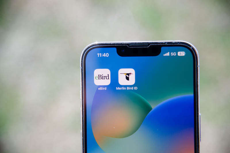 「eBird」とともに、eBirdに蓄積される野鳥観察情報を利用する野鳥識別アプリ「Merlin（マーリン）」もリリース。「eBird」は、コーネル大学鳥類学研究室が運営する世界最大の科学研究プロジェクトで、誰でも無料で利用できます。野鳥観察データベースを核に、世界中のバードウォッチャーの野鳥観察記録をオンラインで共有し、鳥類の研究や保護に役立てています。