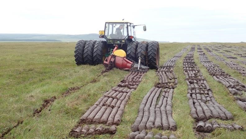 熱帯雨林よりも多くの二酸化炭素を蓄える泥炭地（ピートランド）