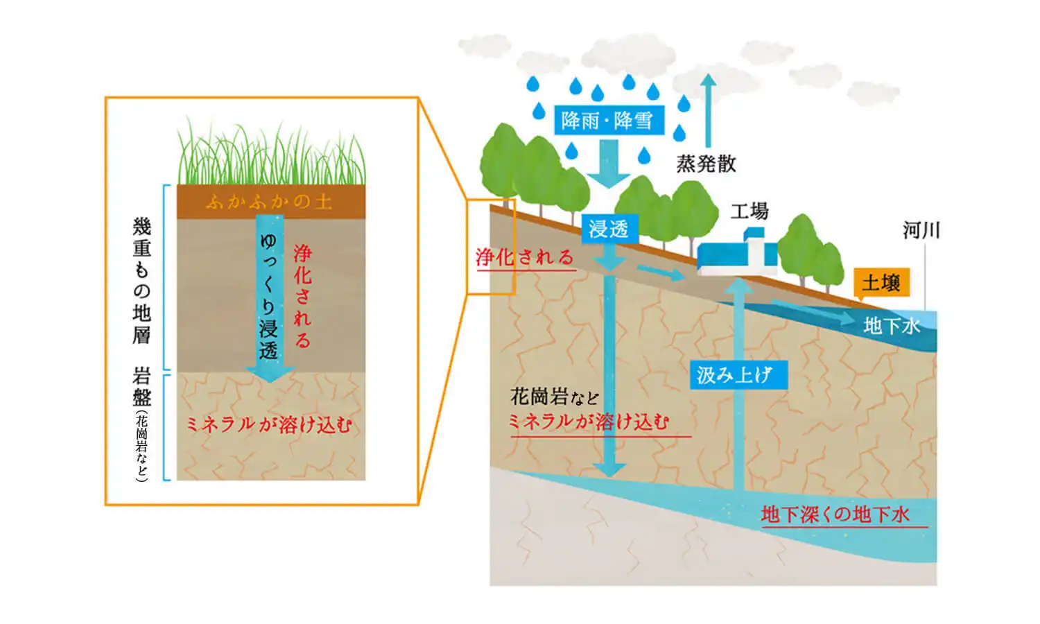 図：幾重もの地層からゆっくり浸透し浄化される。岩盤でミネラルが溶け込み、地下深くの地下水を汲み上げる