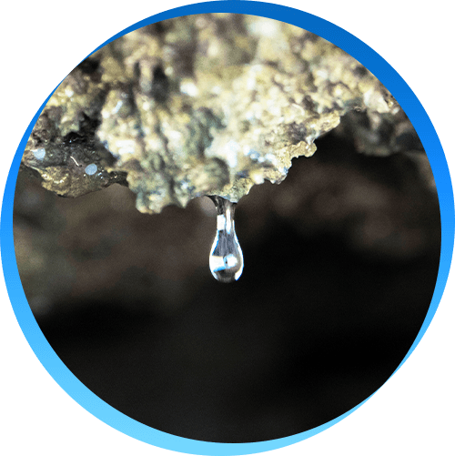 天然水ができるまで サントリー天然水