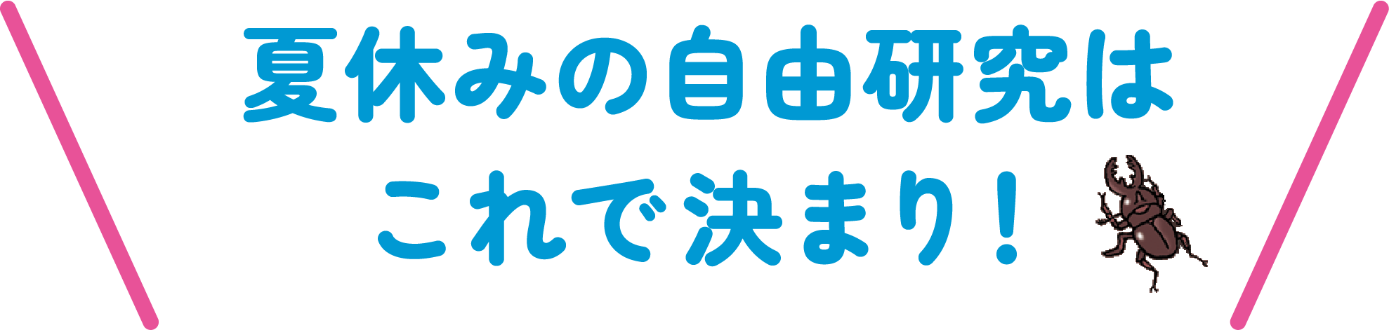 夏休みの自由研究はこれで決まり!