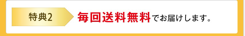 特典２　毎回送料無料でお届けします。