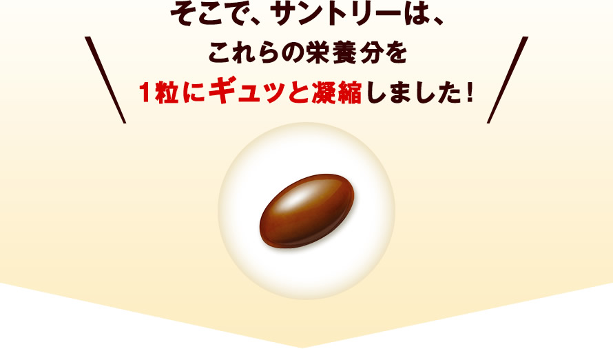 そこで、サントリーは、これらの栄養分を１粒にギュッと凝縮しました！