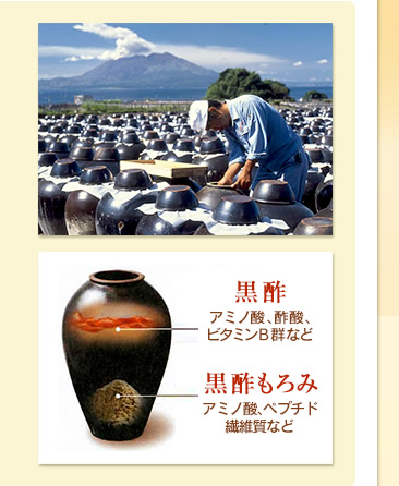 黒酢　アミノ酸、酢酸、ビタミンB群など　　黒酢もろみ　アミノ酸、ペプチド繊維質など