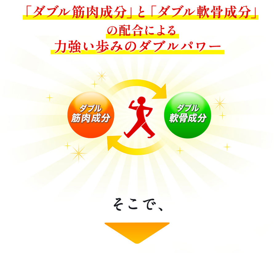 「ダブル筋肉成分」と「ダブル軟骨成分」の配合による力強い歩みのダブルパワー そこで、