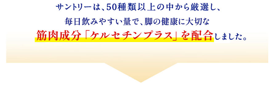 サントリーは、50種類以上の中から厳選し、毎日飲みやすい量で、脚の健康に大切な筋肉成分「ケルセチンプラス」を配合しました。
