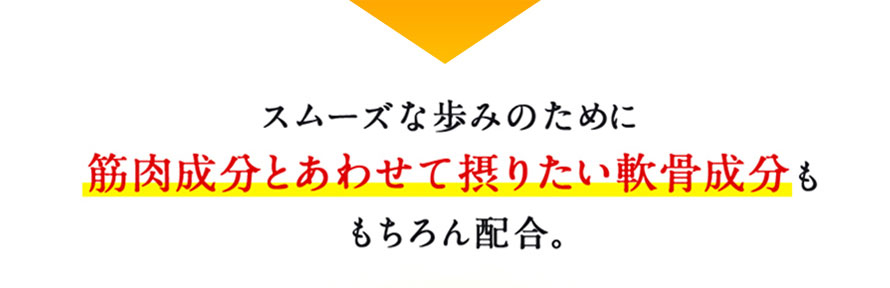 スムーズな歩みのために筋肉成分とあわせて摂りたい軟骨成分ももちろん配合。
