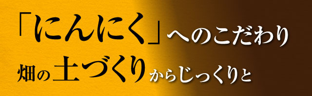 「にんにく」へのこだわり　畑の土づくりからじっくりと