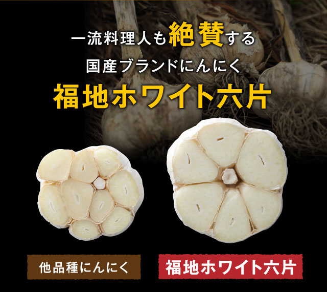 一流料理人も絶賛する国産ブランドにんにく　福地ホワイト六片