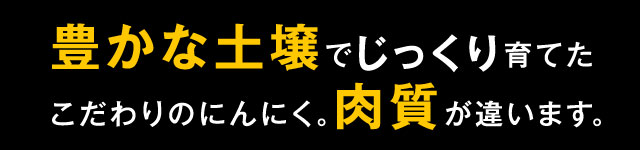 豊かな土壌でじっくり育てたこだわりのにんにく。肉質が違います。
