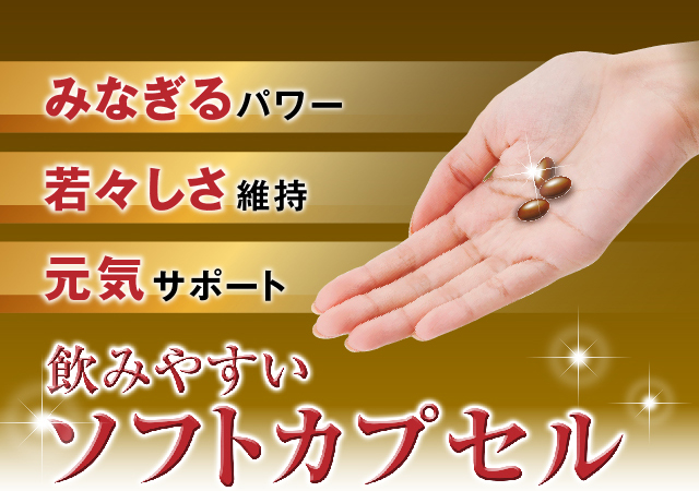 みなぎるパワー　若々しさ維持　元気サポート　飲みやすいソフトカプセル