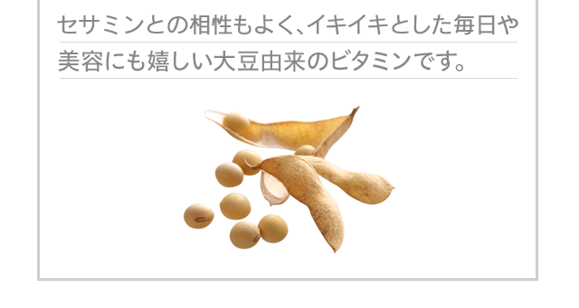 セサミンとの相性もよく、イキイキとした毎日や美容にも嬉しい大豆由来のビタミンです。