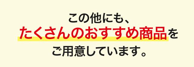 この他にも、たくさんのおすすめ商品をご用意しています。