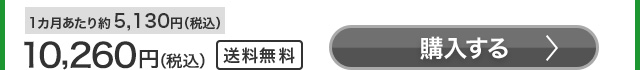 10,260円（税込）1カ月あたり約5,130円（税込）送料無料 購入する