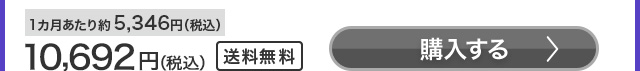 10,692円（税込）1カ月あたり約5,346円（税込）送料無料 購入する
