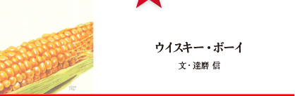 ウイスキー・ボーイ 文・達磨信