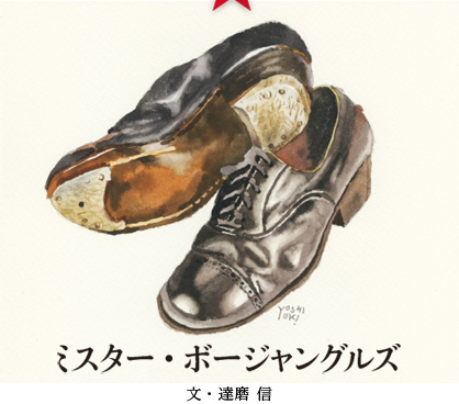 ミスター・ボージャングルズ