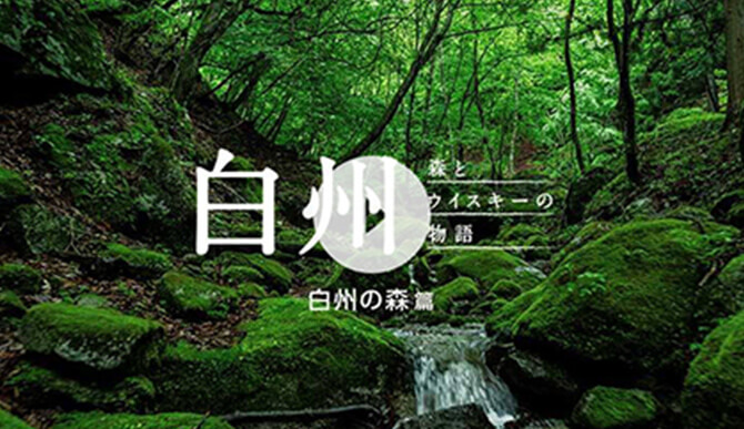 『ナショナル ジオグラフィック「森」』篇（7分50秒）