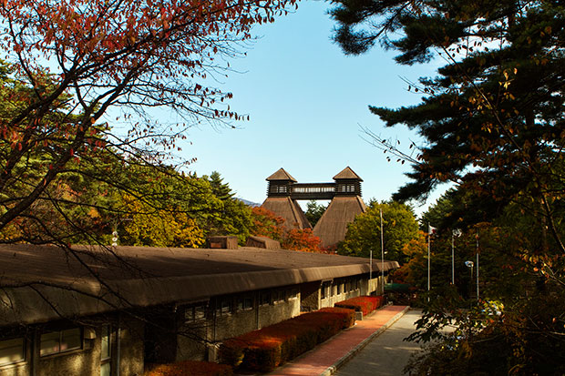 大自然に磨かれた名水白州の清々しい味わいの原点は、この水に　シングルモルトウイスキー白州 サントリー
