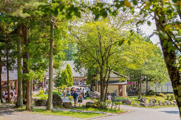 週末旅におすすめ！ゆったり癒やされる“白州・小淵沢”の自然スポット8選