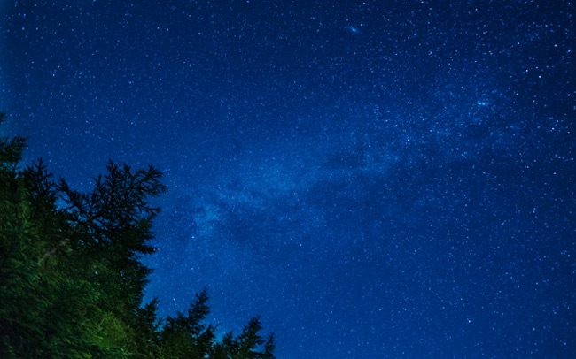 自然とふれあう森のコテージステイ。露天風呂付きコテージで過ごす贅沢なひととき