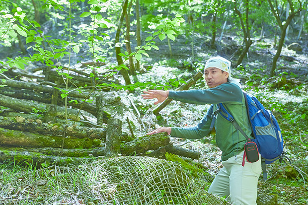 「サントリー天然水の森」活動が始まったのは2013年。地元の方々の協力のもと、調査・整備活動を実施している。