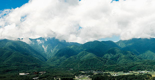 蒸溜所としては珍しい、標高約700mの高地に佇む白州蒸溜所。「白州」は周囲を緑に囲まれた自然のなかでつくられている。