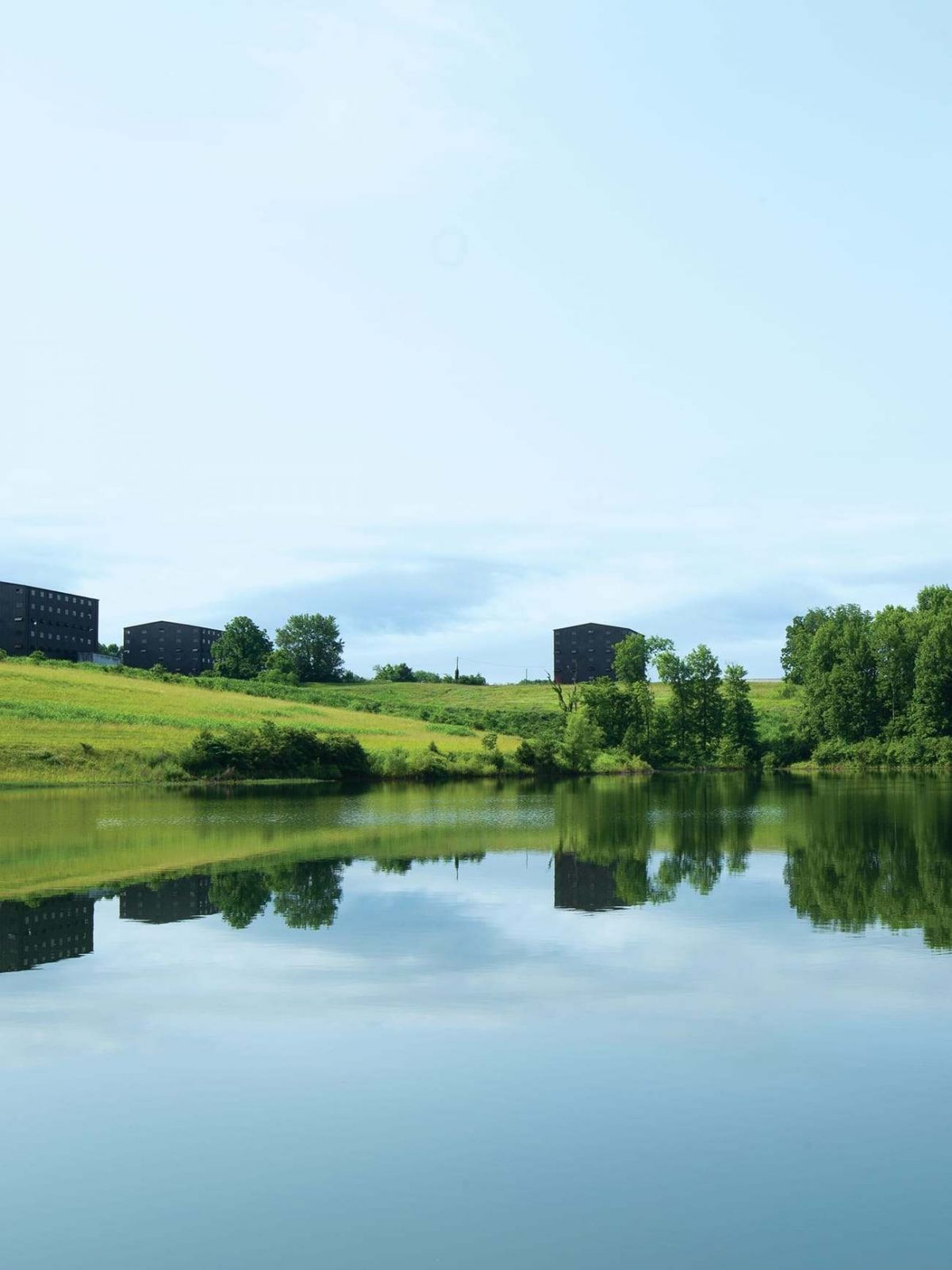 私たちだけの、純粋な水