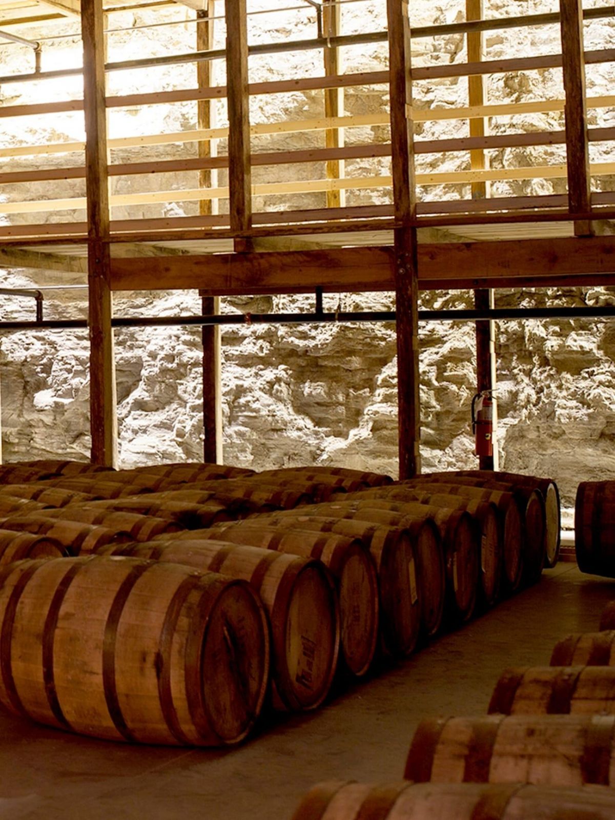 常に涼しい環境をキープ