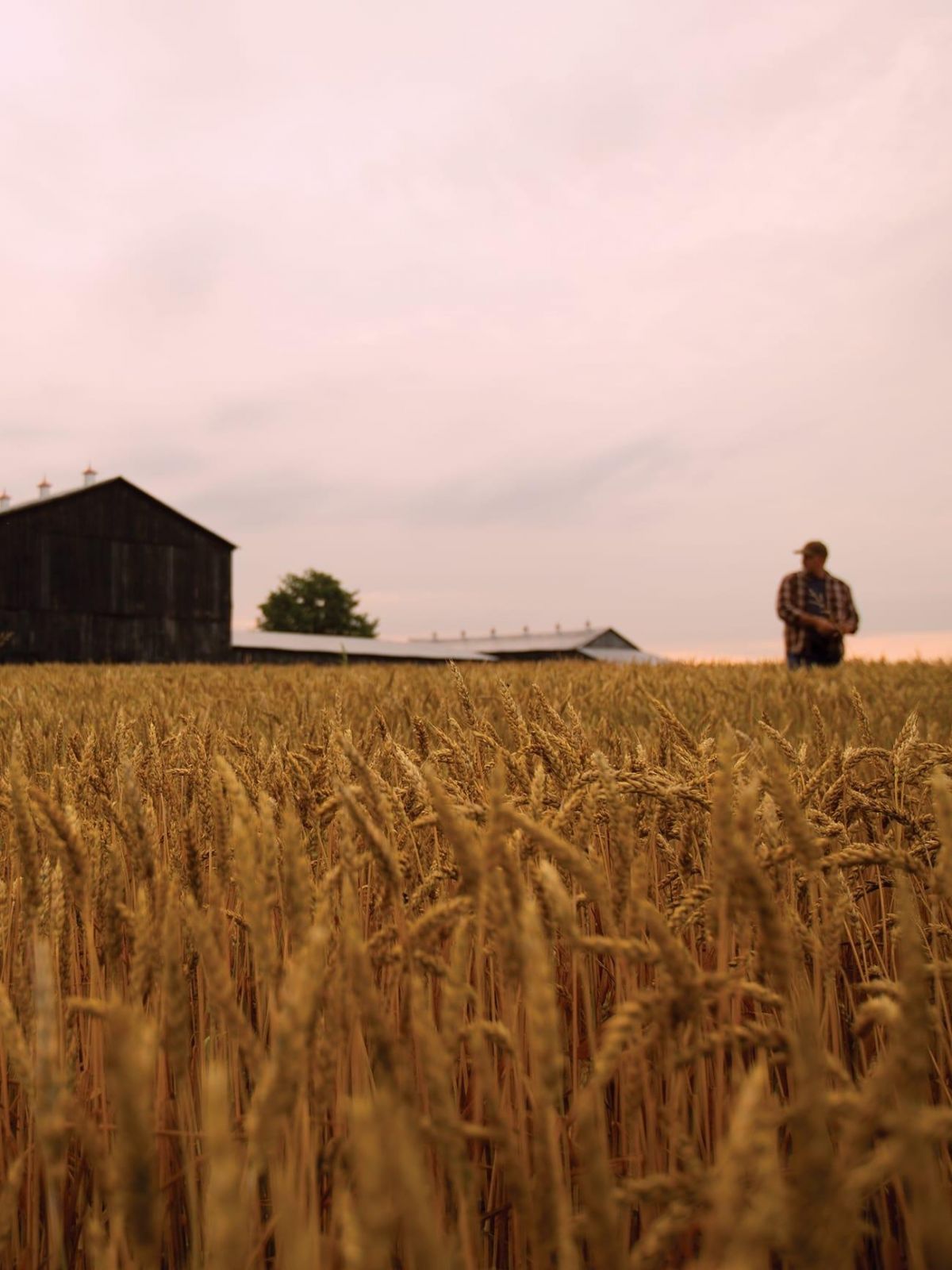 地域との深い絆
