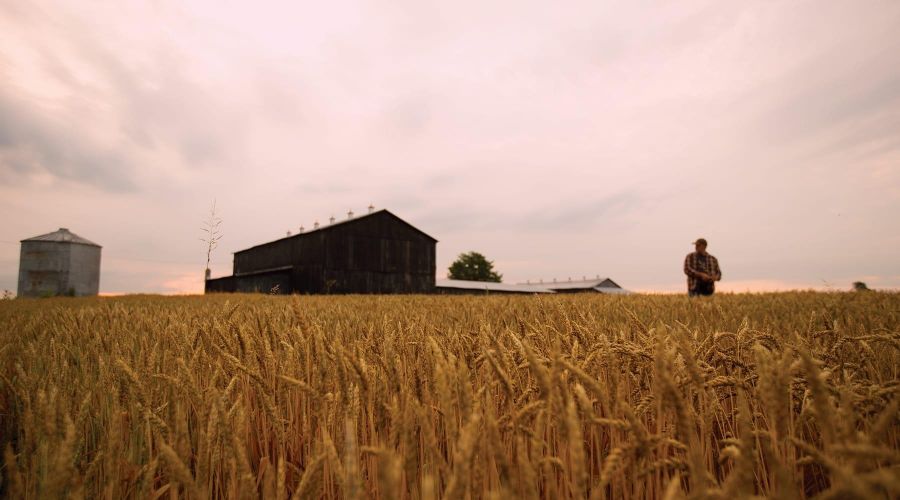 地域との深い絆