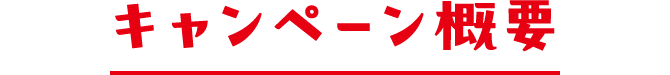 キャンペーン概要