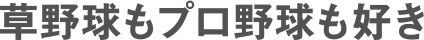 草野球もプロ野球も好き