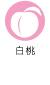 白桃