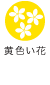 黄色い花