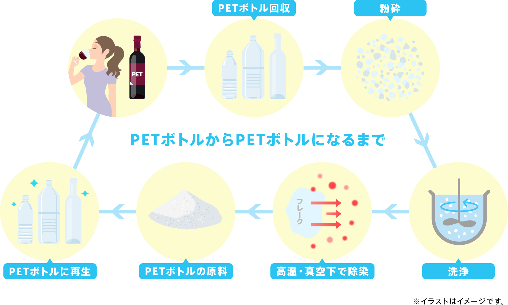 PETボトルからPETボトルになるまで（PETボトル回収、粉砕、洗浄、高温・真空下で除染、PETボトルの原料、PETボトルに再生）※イラストはイメージです