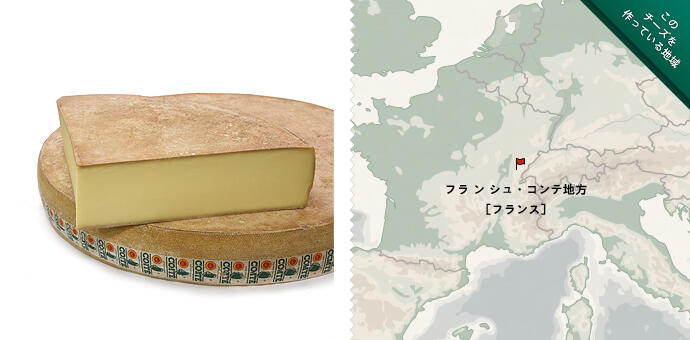 コンテ 8ヶ月以上熟成