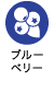 ブルーベリー