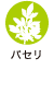 パセリ