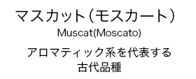 Muscat(Moscato)