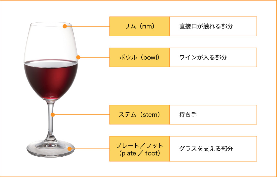 リム（rim）:直接口が触れる部分 ボウル（bowl）:ワインがはいる部分 ステム（stem）:持ち手 プレート／フット （plate／foot）:グラスを支える部分
