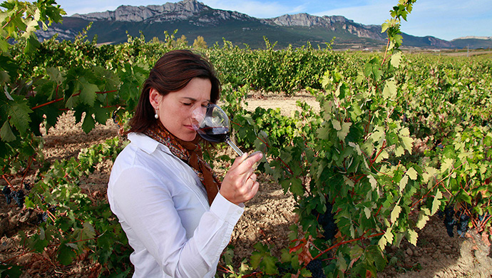 ソラール ビエホ（フレシネグループ）