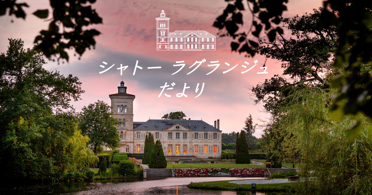 シャトーラグランジュ便り｜ワインを知る｜サントリー ワインスクエア