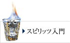 スピリッツ入門