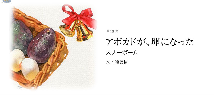 第168回 アボカドが、卵になった スノーボール 文・達磨信
