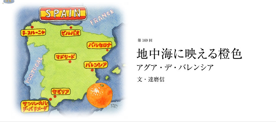 第169回 地中海に映える橙色 アグア・デ・バレンシア 文・達磨信