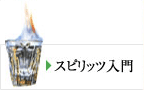 スピリッツ入門